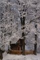 Kapliczka na Łysej Górze zimą (1)